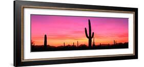 Usa, Arizona, Organ Pipe National Monument, Sunset-Robert Glusic-Framed Photographic Print