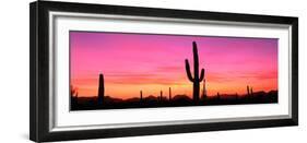 Usa, Arizona, Organ Pipe National Monument, Sunset-Robert Glusic-Framed Photographic Print