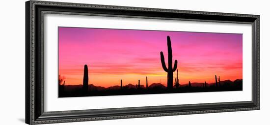 Usa, Arizona, Organ Pipe National Monument, Sunset-Robert Glusic-Framed Photographic Print