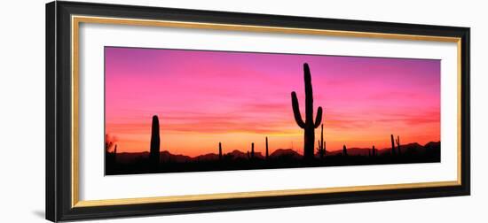 Usa, Arizona, Organ Pipe National Monument, Sunset-Robert Glusic-Framed Photographic Print