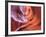 USA, Arizona, Page, Lower Antelope Canyon-Michele Falzone-Framed Photographic Print