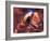 USA, Arizona, Page, Upper Antelope Canyon-Michele Falzone-Framed Photographic Print