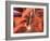 USA, Arizona, Page, Upper Antelope Canyon-Michele Falzone-Framed Photographic Print