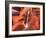 USA, Arizona, Page, Upper Antelope Canyon-Michele Falzone-Framed Photographic Print