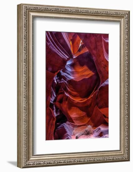 USA, Arizona, Paige. Rock Patterns in Antelope Canyon-Jay O'brien-Framed Photographic Print