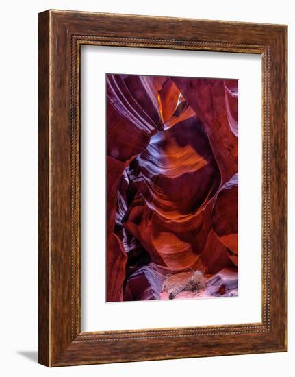 USA, Arizona, Paige. Rock Patterns in Antelope Canyon-Jay O'brien-Framed Photographic Print