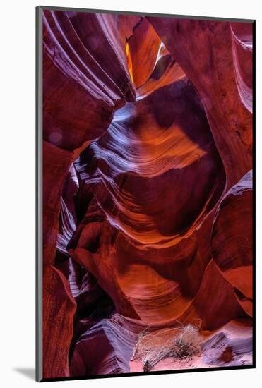 USA, Arizona, Paige. Rock Patterns in Antelope Canyon-Jay O'brien-Mounted Photographic Print