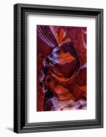 USA, Arizona, Paige. Rock Patterns in Antelope Canyon-Jay O'brien-Framed Photographic Print