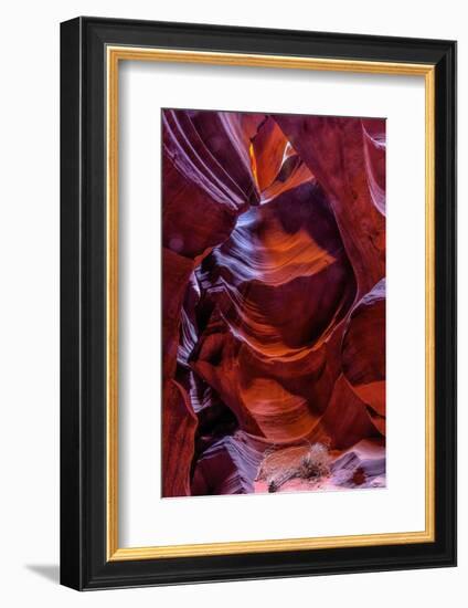 USA, Arizona, Paige. Rock Patterns in Antelope Canyon-Jay O'brien-Framed Photographic Print