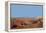 USA, Arizona, Petrified Forest National Park. Crystal Forest-Kymri Wilt-Framed Premier Image Canvas