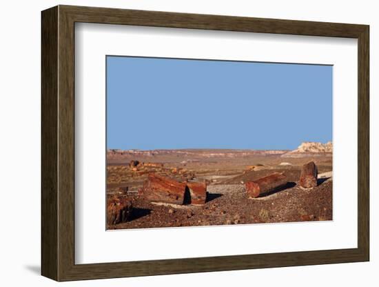 USA, Arizona, Petrified Forest National Park. Crystal Forest-Kymri Wilt-Framed Photographic Print