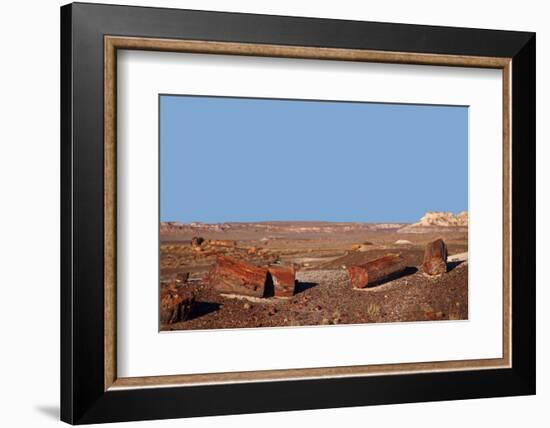 USA, Arizona, Petrified Forest National Park. Crystal Forest-Kymri Wilt-Framed Photographic Print