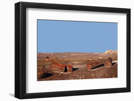 USA, Arizona, Petrified Forest National Park. Crystal Forest-Kymri Wilt-Framed Photographic Print