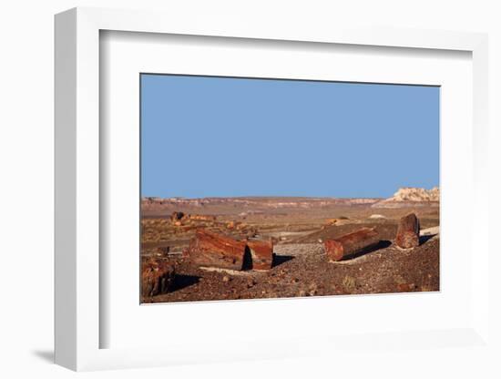 USA, Arizona, Petrified Forest National Park. Crystal Forest-Kymri Wilt-Framed Photographic Print