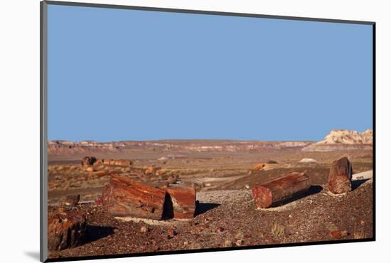 USA, Arizona, Petrified Forest National Park. Crystal Forest-Kymri Wilt-Mounted Photographic Print