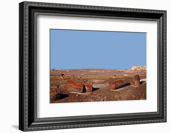 USA, Arizona, Petrified Forest National Park. Crystal Forest-Kymri Wilt-Framed Photographic Print