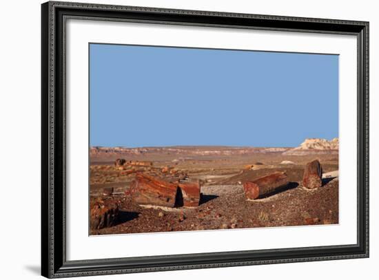 USA, Arizona, Petrified Forest National Park. Crystal Forest-Kymri Wilt-Framed Photographic Print