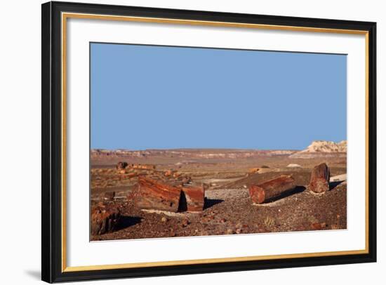 USA, Arizona, Petrified Forest National Park. Crystal Forest-Kymri Wilt-Framed Photographic Print