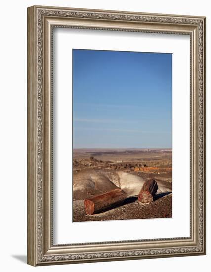 USA, Arizona, Petrified Forest National Park. Crystal Forest-Kymri Wilt-Framed Photographic Print