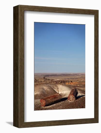 USA, Arizona, Petrified Forest National Park. Crystal Forest-Kymri Wilt-Framed Photographic Print