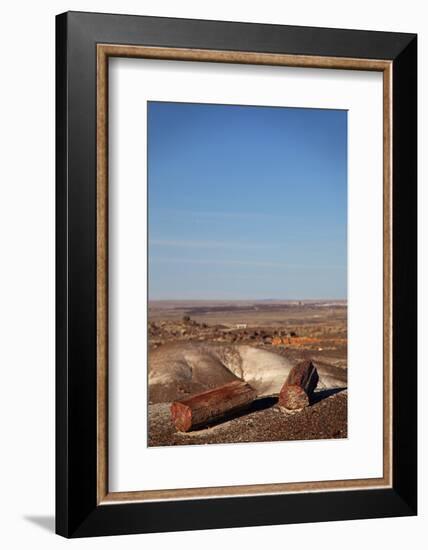 USA, Arizona, Petrified Forest National Park. Crystal Forest-Kymri Wilt-Framed Photographic Print