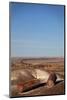 USA, Arizona, Petrified Forest National Park. Crystal Forest-Kymri Wilt-Mounted Photographic Print