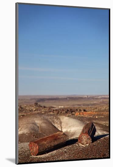 USA, Arizona, Petrified Forest National Park. Crystal Forest-Kymri Wilt-Mounted Photographic Print