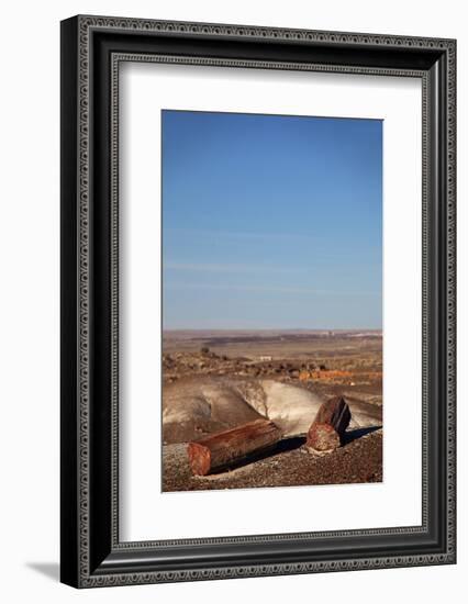 USA, Arizona, Petrified Forest National Park. Crystal Forest-Kymri Wilt-Framed Photographic Print