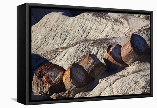 USA, Arizona, Petrified Forest National Park. Fallen Logs in Blue Mesa Badlands-Kymri Wilt-Framed Premier Image Canvas