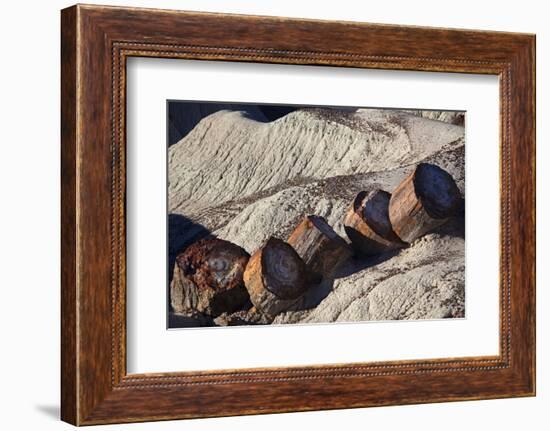 USA, Arizona, Petrified Forest National Park. Fallen Logs in Blue Mesa Badlands-Kymri Wilt-Framed Photographic Print