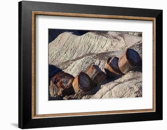 USA, Arizona, Petrified Forest National Park. Fallen Logs in Blue Mesa Badlands-Kymri Wilt-Framed Photographic Print