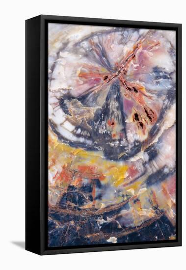 USA, Arizona, Petrified Forest National Park. Petrified Wood Detail-Jaynes Gallery-Framed Premier Image Canvas