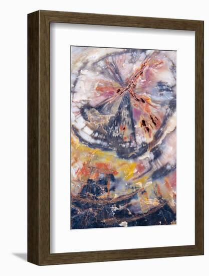 USA, Arizona, Petrified Forest National Park. Petrified Wood Detail-Jaynes Gallery-Framed Photographic Print