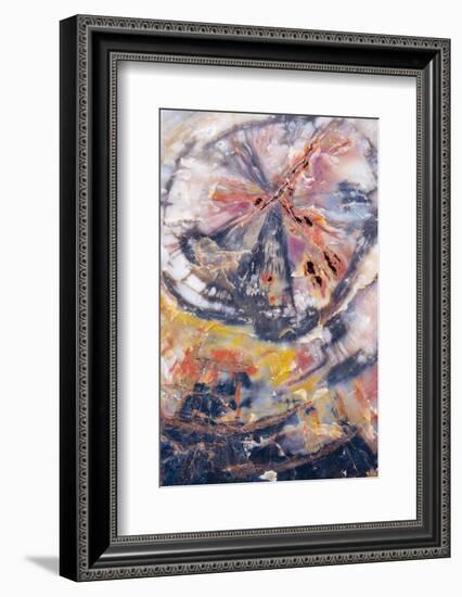 USA, Arizona, Petrified Forest National Park. Petrified Wood Detail-Jaynes Gallery-Framed Photographic Print