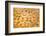 USA, Arizona, Phoenix. Characters on Chinese calendar.-Jaynes Gallery-Framed Photographic Print