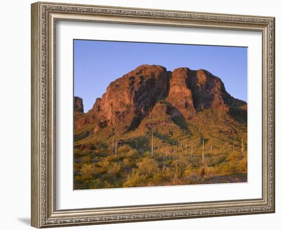 USA, Arizona, Picacho Peak State Park, Sunrise Light on Steep Cliffs with Saguaro Cacti-John Barger-Framed Photographic Print