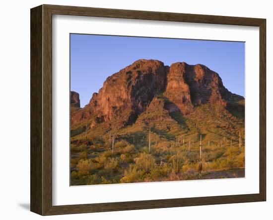 USA, Arizona, Picacho Peak State Park, Sunrise Light on Steep Cliffs with Saguaro Cacti-John Barger-Framed Photographic Print