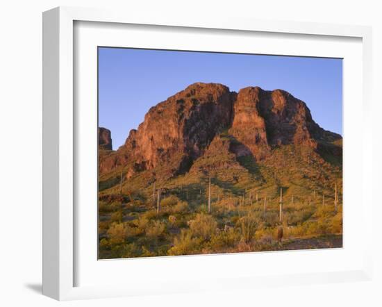 USA, Arizona, Picacho Peak State Park, Sunrise Light on Steep Cliffs with Saguaro Cacti-John Barger-Framed Photographic Print