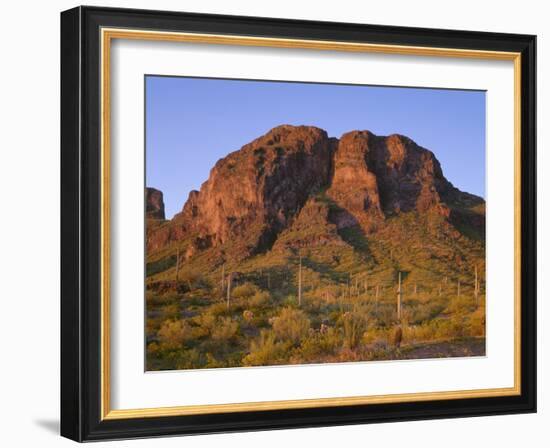 USA, Arizona, Picacho Peak State Park, Sunrise Light on Steep Cliffs with Saguaro Cacti-John Barger-Framed Photographic Print