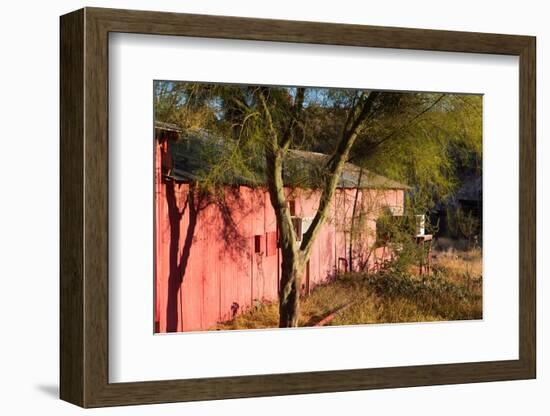 USA, Arizona, Route 66, Oatman-Catharina Lux-Framed Photographic Print