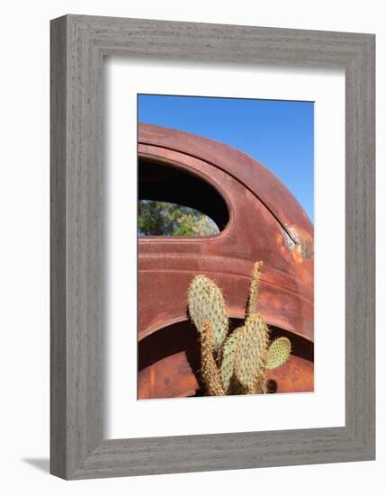 USA, Arizona, Route 66, Rusty Car Body, Cactus-Catharina Lux-Framed Photographic Print