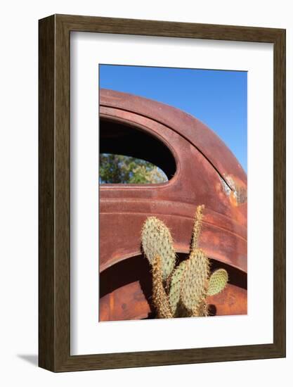 USA, Arizona, Route 66, Rusty Car Body, Cactus-Catharina Lux-Framed Photographic Print