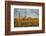 USA, Arizona, Saguaro National Park. Desert Landscape-Cathy & Gordon Illg-Framed Photographic Print