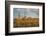 USA, Arizona, Saguaro National Park. Desert Landscape-Cathy & Gordon Illg-Framed Photographic Print