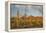 USA, Arizona, Saguaro National Park. Desert Landscape-Cathy & Gordon Illg-Framed Premier Image Canvas