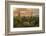 USA, Arizona, Saguaro National Park. Desert Landscape-Cathy & Gordon Illg-Framed Photographic Print