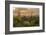 USA, Arizona, Saguaro National Park. Desert Landscape-Cathy & Gordon Illg-Framed Photographic Print