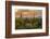 USA, Arizona, Saguaro National Park. Desert Landscape-Cathy & Gordon Illg-Framed Photographic Print