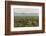 USA, Arizona, Saguaro National Park. Desert Landscape-Cathy & Gordon Illg-Framed Photographic Print