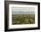 USA, Arizona, Saguaro National Park. Desert Landscape-Cathy & Gordon Illg-Framed Photographic Print